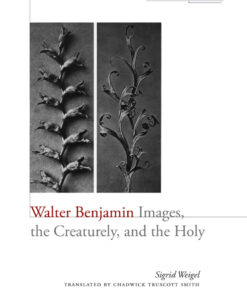 Walter Benjamin eBook