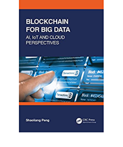 Blockchain for Big Data: AI, IoT and Cloud Perspectives eBook