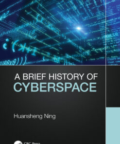 A Brief History of Cyberspace eBook