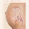 Anesthesia for Maternal-Fetal Surgery: Concepts and Clinical Practice eBook