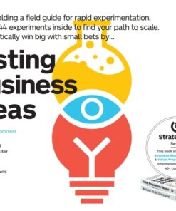 Testing Business Ideas eBook