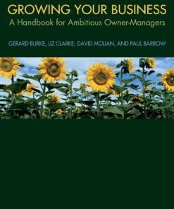 Growing your Business: A Handbook for Ambitious Owner-Managers eBook