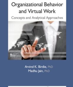 Organizational Behavior and Virtual Work: Concepts and Analytical Approaches eBook