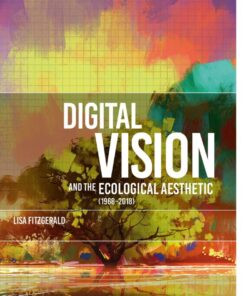 Digital Vision and the Ecological Aesthetic (1968 - 2018) eBook