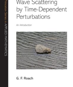 Wave Scattering by Time-Dependent Perturbations : An Introduction eBook