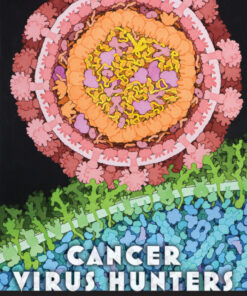 Cancer Virus Hunters: A History of Tumor Virology eBook