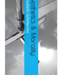 Aesthetics and Morality eBook
