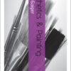 Aesthetics and Painting eBook