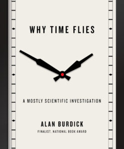 Why Time Flies: A Mostly Scientific Investigation eBook