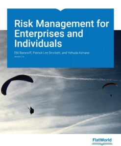 Risk Management for Enterprises and Individuals, Version 1.0 eBook