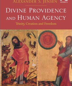 Divine Providence and Human Agency: Trinity, Creation and Freedom eBook