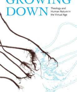 Growing Down: Theology and Human Nature in the Virtual Age eBook