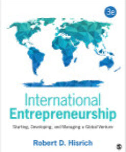 International Entrepreneurship: Starting, Developing, and Managing a Global Venture eBook
