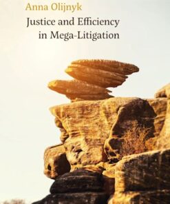 Justice and Efficiency in Mega-Litigation eBook