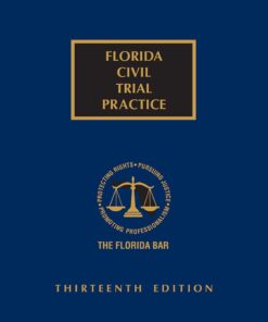 Florida Civil Trial Practice eBook