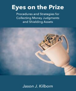 Eyes on the Prize: Procedures and Strategies for Collecting Money Judgments and Shielding Assets eBook