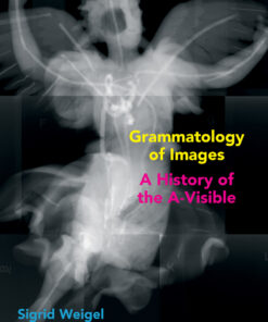 Grammatology of Images: A History of the A-Visible eBook