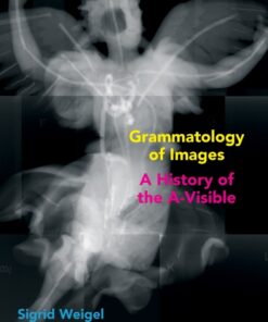 Grammatology of Images : A History of the A-Visible eBook