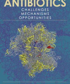 Antibiotics: Challenges, Mechanisms, Opportunities eBook