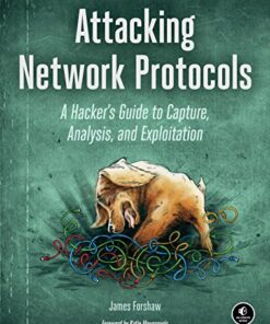 Attacking Network Protocols: A Hacker's Guide to Capture, Analysis, and Exploitation eBook