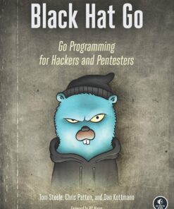 Black Hat Go Go Programming For Hackers and Pentesters eBook
