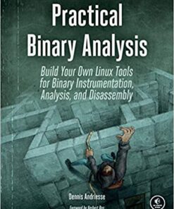 Practical Binary Analysis: Build Your Own Linux Tools for Binary Instrumentation, Analysis, and Disassembly eBook