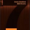 Seven Deadliest USB Attacks eBook