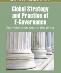 Global Strategy and Practice of E-Governance eBook