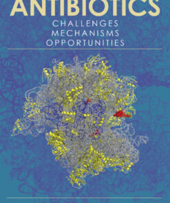 Antibiotics: Challenges, Mechanisms, Opportunities eBook
