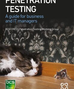 Penetration Testing: A guide for business and IT managers eBook