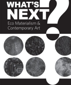 What's Next?: Eco Materialism and Contemporary Art eBook