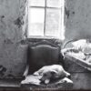 Architecture in Abjection: Bodies, Spaces and their Relations eBook
