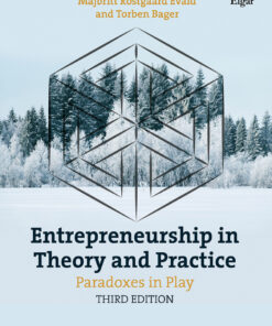 Entrepreneurship in Theory and Practice eBook