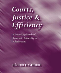 Courts, Justice, and Efficiency: A Socio-legal Study of Economic Rationality in Adjudication eBook