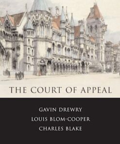 The Court of Appeal: Political, Legal and Social Perspectives eBook