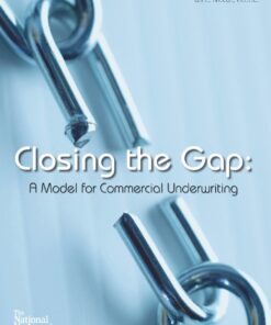 Closing the Gap eBook