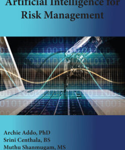 Artificial Intelligence for Risk Management eBook