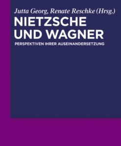 Nietzsche und Wagner: Perspektiven ihrer Auseinandersetzung eBook