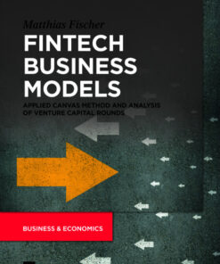 Fintech Business Models: Applied Canvas Method and Analysis of Venture Capital Rounds eBook