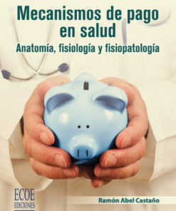 Mecanismos de pago en salud eBook