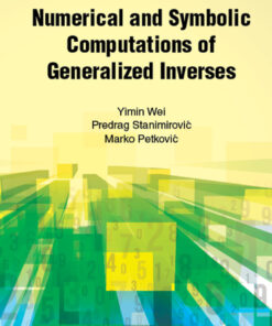 Numerical And Symbolic Computations Of Generalized Inverses eBook