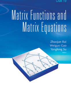 Matrix Functions And Matrix Equations eBook