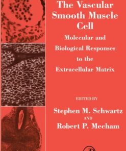 The Vascular Smooth Muscle Cell: Molecular and Biological Responses to the Extracellular Matrix eBook