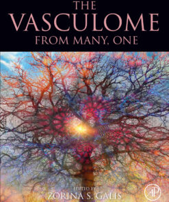 The Vasculome: From Many, One eBook