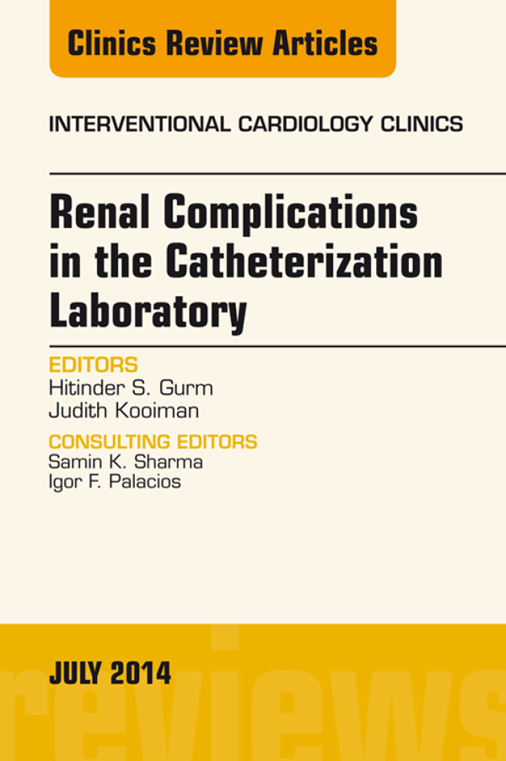 ICCL_v3_i3_COVER.indd