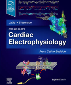 Zipes and Jalife’s Cardiac Electrophysiology: From Cell to Bedside eBook
