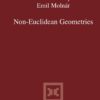 Non-Euclidean Geometries: János Bolyai Memorial Volume eBook