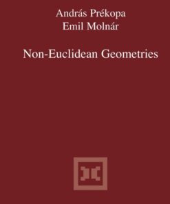 Non-Euclidean Geometries: János Bolyai Memorial Volume eBook