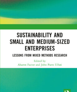 Sustainability and Small and Medium-sized Enterprises: Lessons from Mixed Methods Research eBook