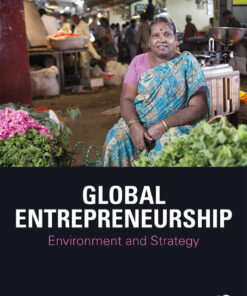 Global Entrepreneurship: Environment and Strategy eBook
